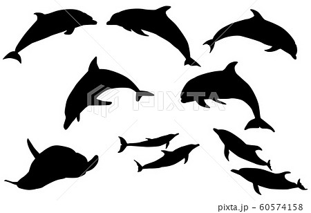 動物シルエット海 川イルカのイラスト素材