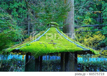 丹生川上神社下社 奈良県 丹生川上神社下社 奈良県 60575719