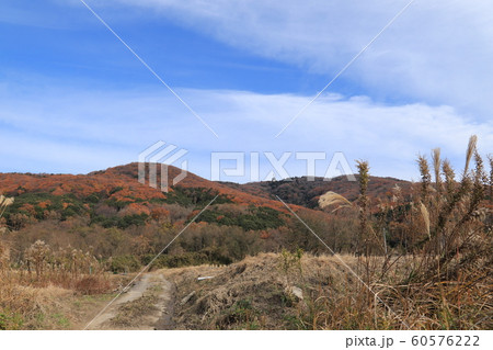 宝篋山極楽寺コース つくば市風景 宝篋山極楽寺コース つくば市風景 60576222