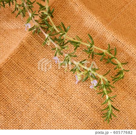 麻布に載せたローズマリーの葉と花 60577682