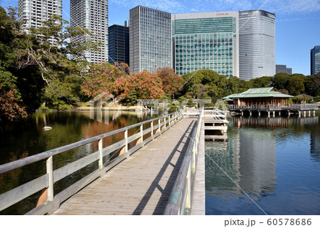 浜離宮　お伝い橋と中島の御茶屋 60578686