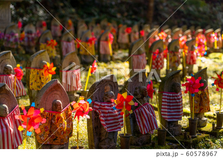 滋賀県の紅葉 60578967