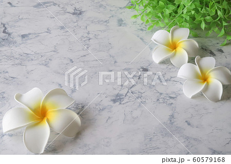 plumeria, flower, flowers - Stock Photo [60579168] - PIXTA