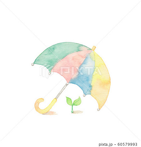 パステルカラーの可愛い傘と小さな芽のイラスト素材 60579993 Pixta