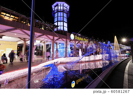 15年のありがとう　ドルフィンポート最後のイルミネーション2019-2020 60581267