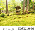 苔の絨毯 60581949