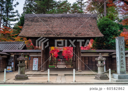 埼玉 秋のの平林寺 埼玉 秋のの平林寺 60582862
