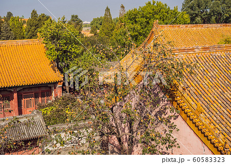 Ancient royal palaces of the Forbidden City in Beijing,China Ancient royal palaces of the Forbidden City in Beijing,China 60583323