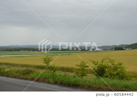 北海道斜里町の風景 北海道斜里町の風景 60584442