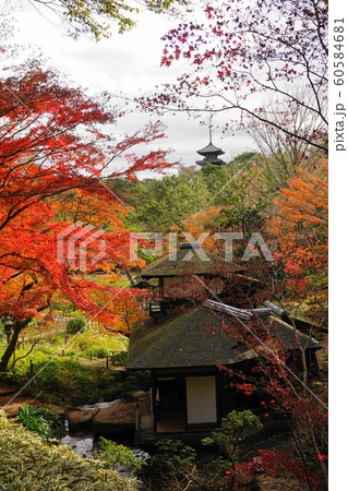 12月 横浜565三重塔と聴秋閣の紅葉・三渓園 12月 横浜565三重塔と聴秋閣の紅葉・三渓園 60584681