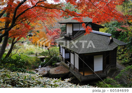 12月　横浜550聴秋閣の紅葉･三渓園 60584699