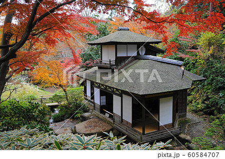 12月　横浜546聴秋閣の紅葉･三渓園 60584707