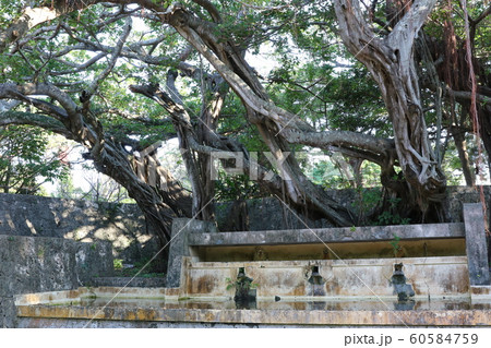 沖縄県那覇市にあるユウナヌカー跡 沖縄県那覇市にあるユウナヌカー跡 60584759