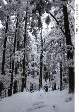 寒波、冬、霧氷、雪、英彦山、福岡県 60584886