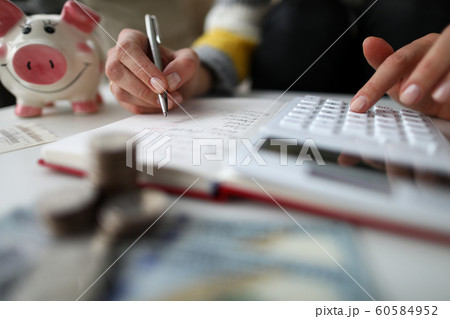 Domestic economy and wealth 60584952