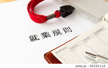 就業規則 労働条件 ビジネス 企業 ルール 就業規則 労働条件 ビジネス 企業 ルール 60585118
