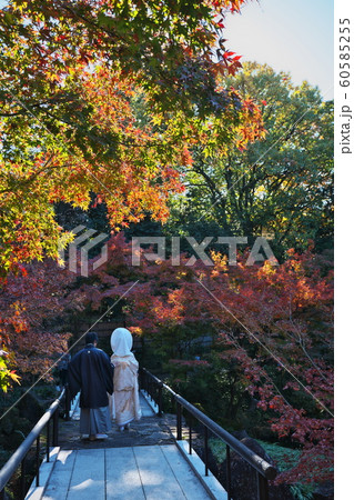 秋の徳川園で結婚式の前撮りの写真素材