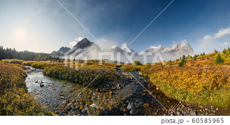 Mount Assiniboine in foggy on golden field in 60585965