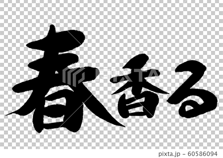 Brush brush spring 60586094