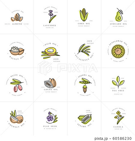 Vector set design templates and emblems - healthy and cosmetics oils. Different natural, organic oils. Vector set design templates and emblems - healthy and cosmetics oils. Different natural, organic oils. 60586230