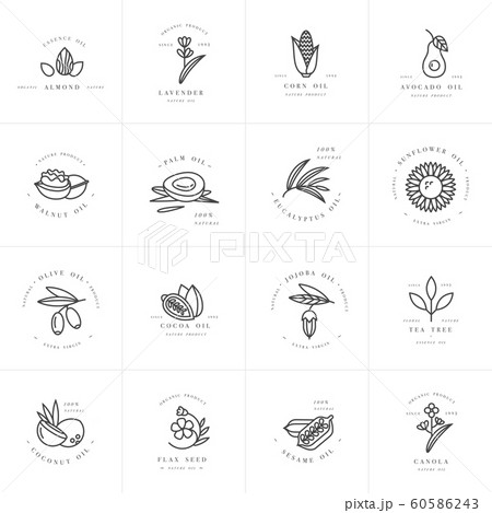 Vector set design templates and emblems - healthy and cosmetics oils. Different natural, organic oils. 60586243