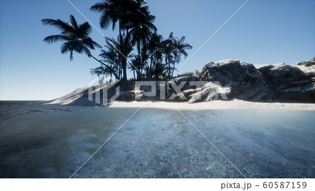 Tropical island of Maldives in ocean Tropical island of Maldives in ocean 60587159