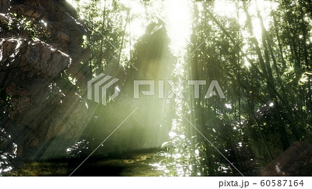 Lush green leaves of bamboo near the shore of a 60587164