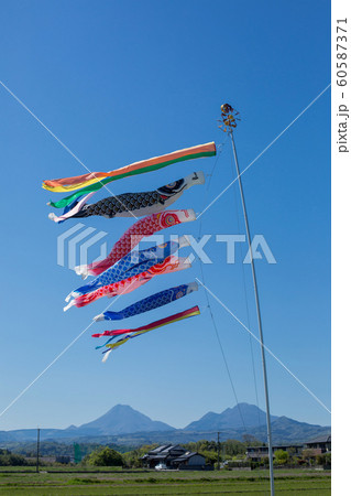 鯉のぼり 60587371