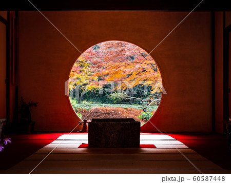 鎌倉　明月院　悟りの窓 60587448