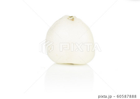 White winter snowberry isolated on white White winter snowberry isolated on white 60587888