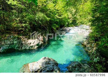 阿寺渓谷 （夏） 60587996