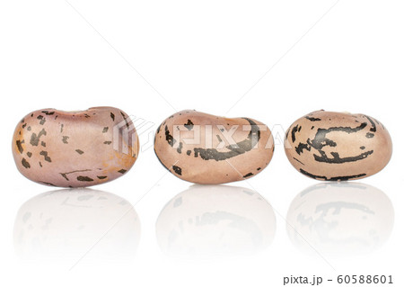Pinto speckled bean isolated on white Pinto speckled bean isolated on white 60588601