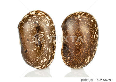 Brown speckled bean isolated on white Brown speckled bean isolated on white 60588791