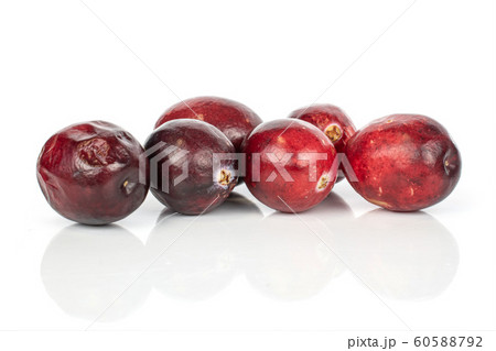 Fresh red cranberry isolated on white 60588792