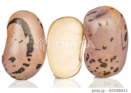 Pinto speckled bean isolated on white Pinto speckled bean isolated on white 60588832