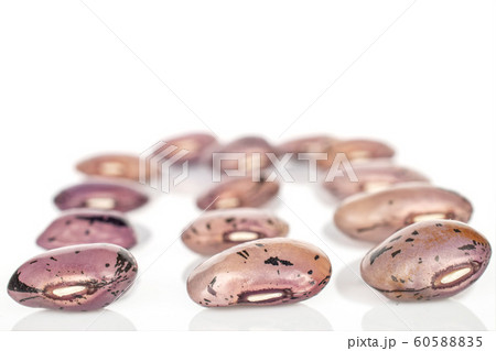 Pinto speckled bean isolated on white 60588835
