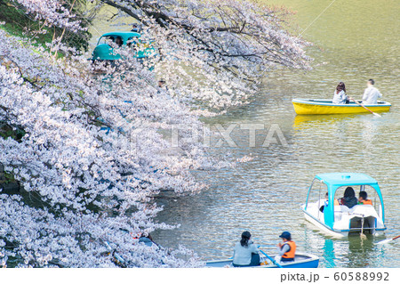 Visitors enjoying the scenario surrounded by Visitors enjoying the scenario surrounded by 60588992
