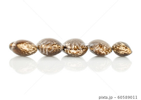 Brown speckled bean isolated on white Brown speckled bean isolated on white 60589011