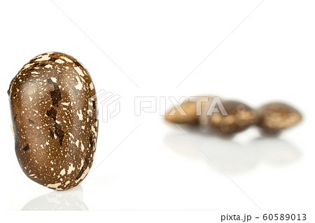 Brown speckled bean isolated on white Brown speckled bean isolated on white 60589013