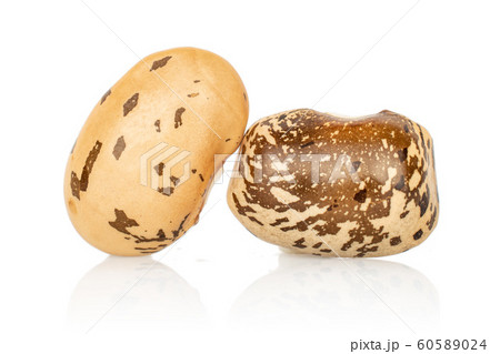 Brown speckled bean isolated on white Brown speckled bean isolated on white 60589024