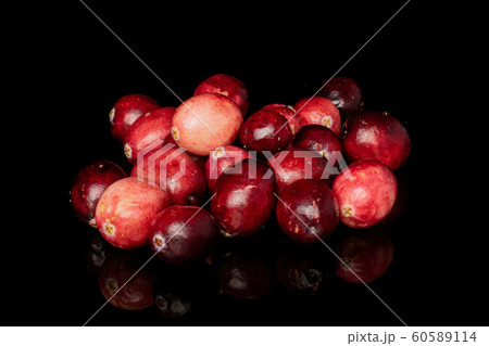 Fresh red cranberry isolated on black glass 60589114