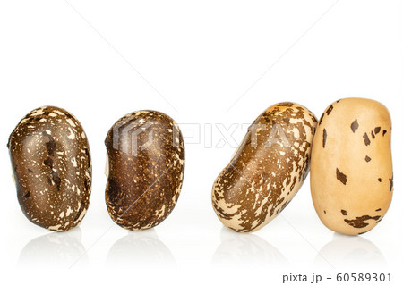 Brown speckled bean isolated on white Brown speckled bean isolated on white 60589301