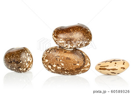 Brown speckled bean isolated on white Brown speckled bean isolated on white 60589326