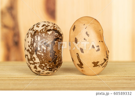 Brown speckled bean on wood 60589332
