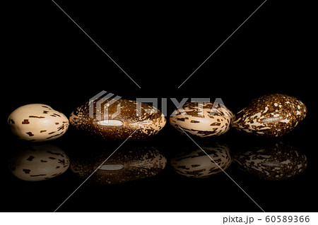 Brown speckled bean isolated on black glass 60589366