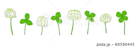 シロツメクサとクローバーたくさん シロツメクサとクローバーたくさん 60590445