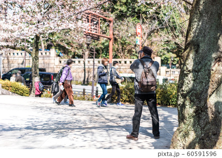 CHIYODA, TOKYO PREFECTURE, JAPAN - March 27, 2019 60591596