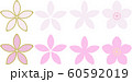 和柄 桜セット 60592019