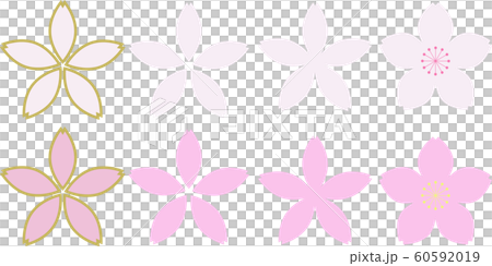 和柄 桜セット 60592019