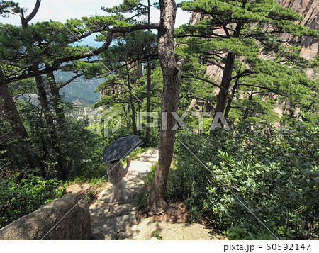 中国安徽省・黄山 / Huangshan (Yellow Mountains), China 60592147